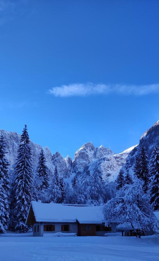 Sport Manca Garni Hotel Radovljica Eksteriør bilde